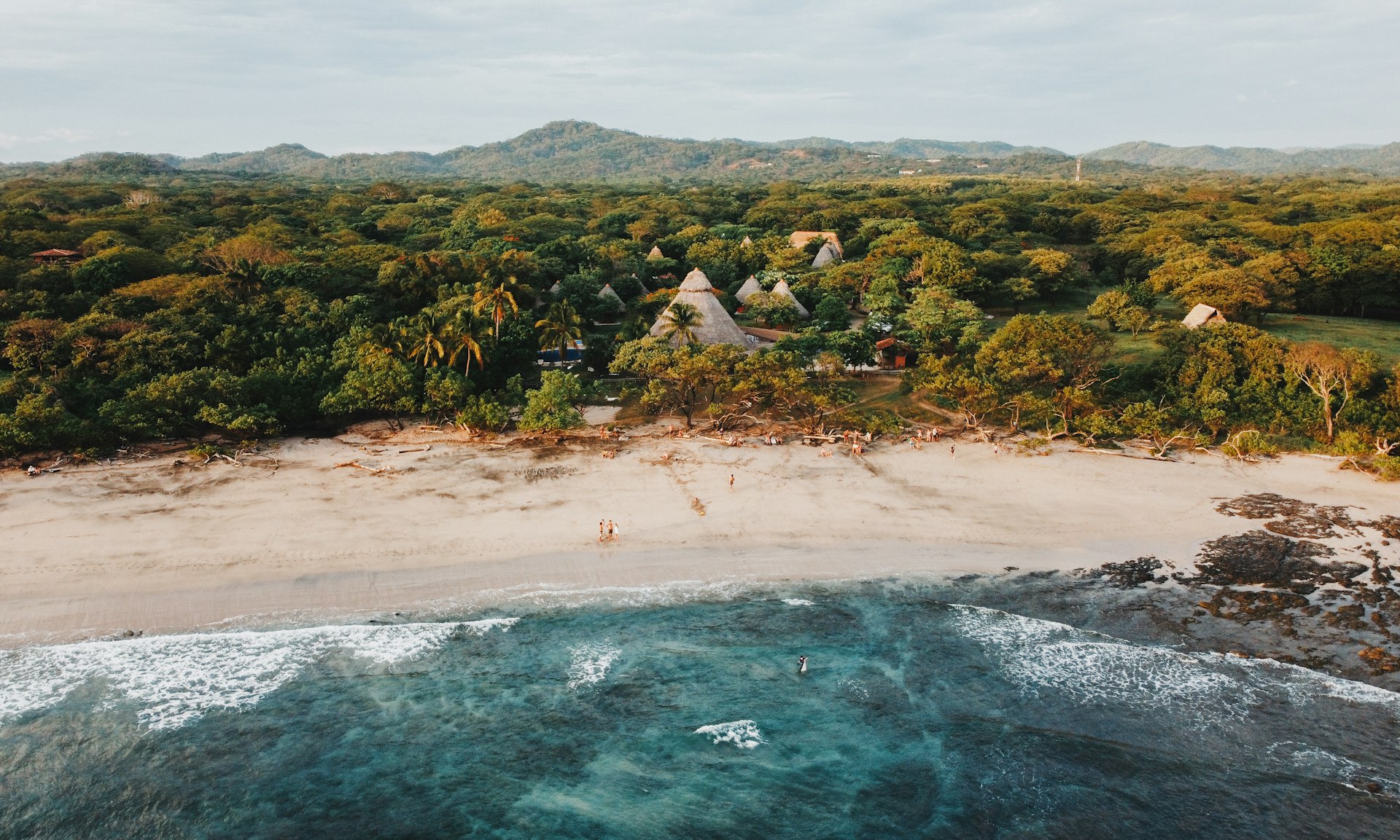 people on beach during daytime
